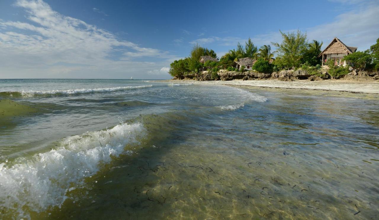 Afya Village At The Sea Michamvi Kültér fotó