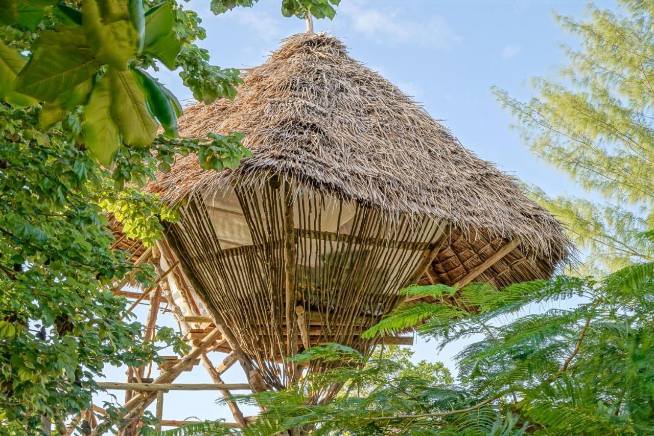 Afya Village At The Sea Michamvi Kültér fotó